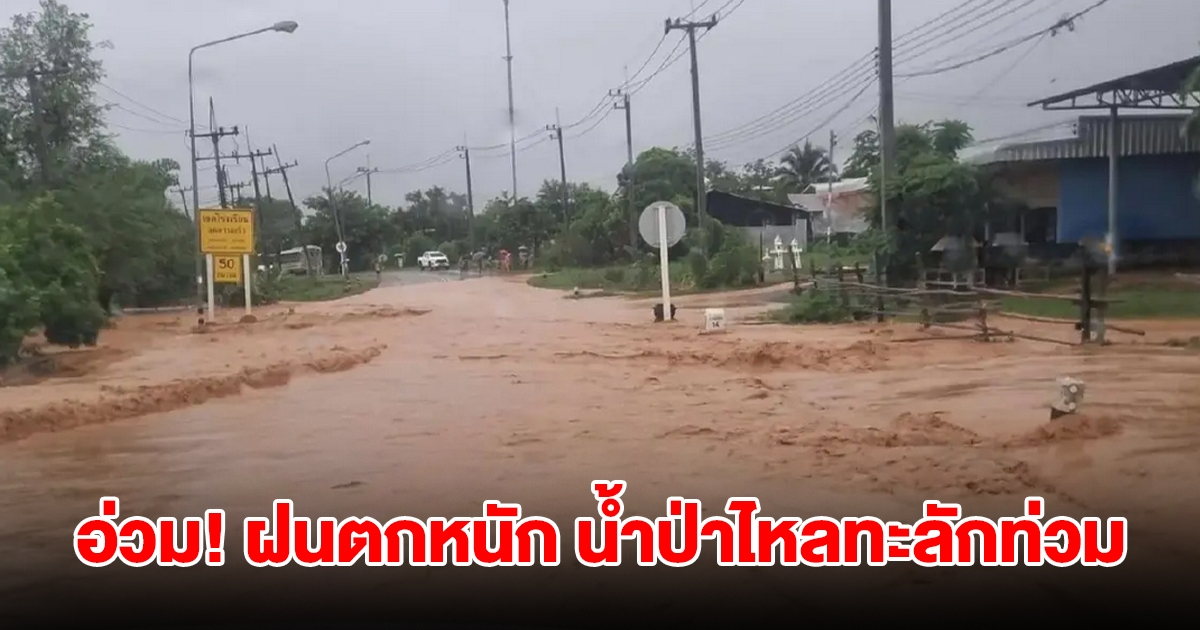 อ่วม! เพชรบูรณ์ฝนตกหนัก น้ำป่าไหลทะลักท่วม ชาวบ้านเก็บของขึ้นที่สูง รถเล็กสัญจรไม่ได้