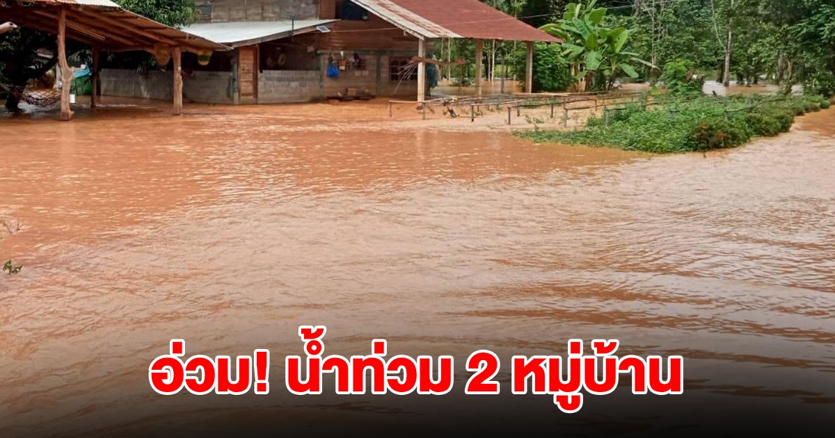 ฝนตกหนัก แม่น้ำป่าสักล้นตลิ่ง น้ำท่วมบ้านเรือน-พื้นที่การเกษตร 2 หมู่บ้าน