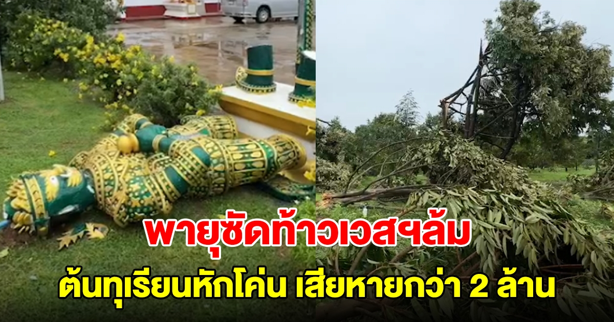 พายุถล่ม! ท้าวเวสสุวรรณยังต้านไม่ไหว ซัดต้นทุเรียนหักโค่น เสียหายกว่า 2 ล้าน