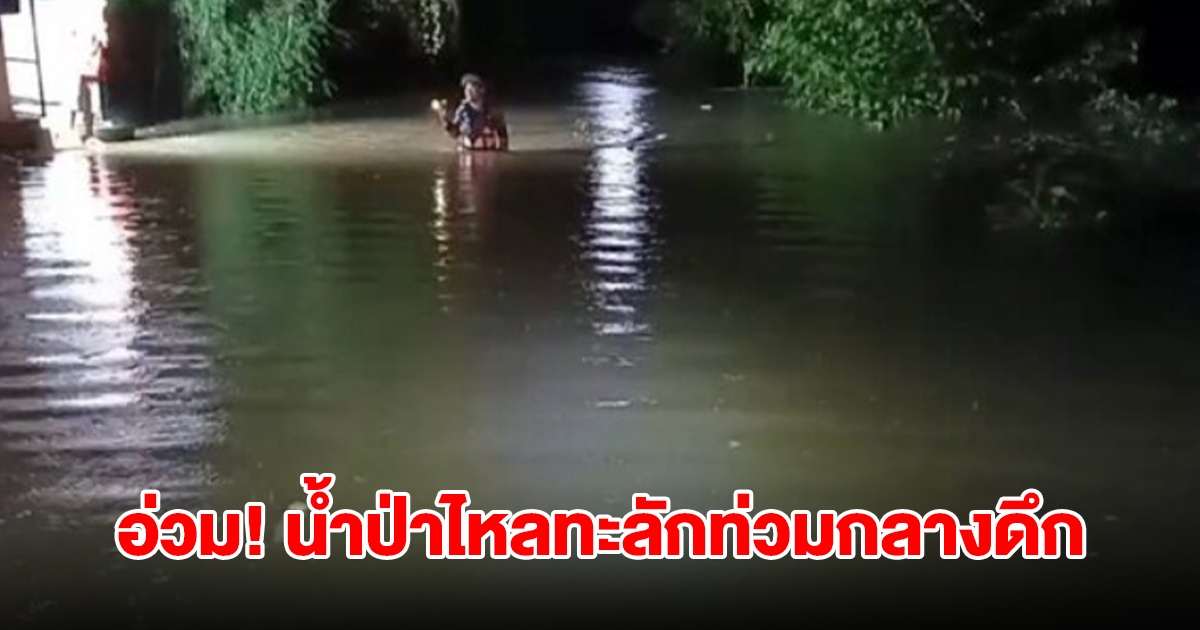 ปราจีนฯอ่วม! ฝนถล่มหนัก น้ำป่าไหลทะลักท่วมกลางดึก บ้านเรือนกว่า 200 หลังคาจมบาดาล