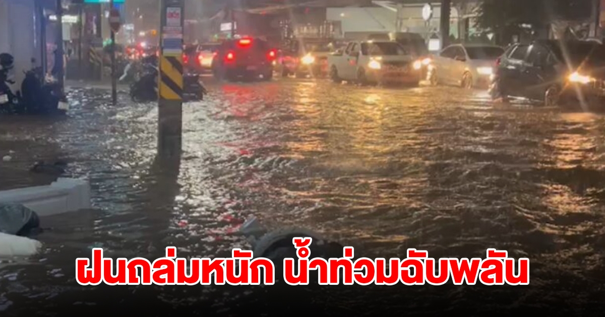 สุราษฎร์อ่วม ฝนถล่มหนัก ทำน้ำท่วมฉับพลัน การจราจรติดขัด