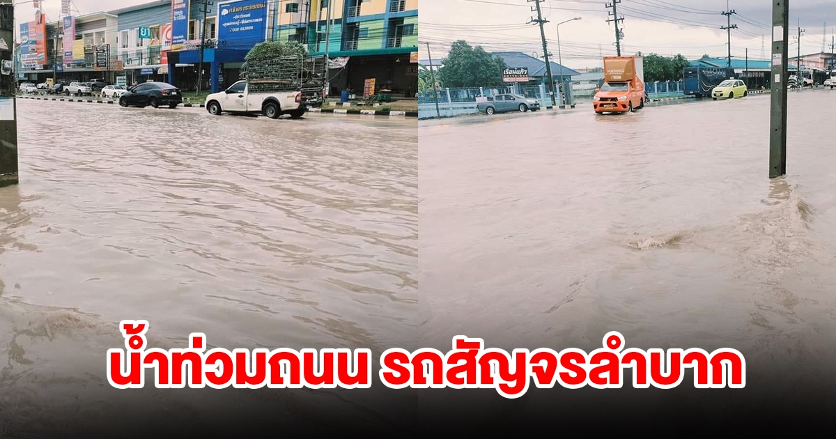 ปลวกแดงอ่วม! ฝนถล่มหนัก น้ำท่วมถนน รถสัญจรลำบาก