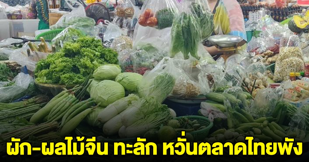 ผัก-ผลไม้จีน ทะลักตลาดสด แม่ค้าไทยงง ทำไมถูกกว่า กระทบหนัก หวั่นตลาดพัง