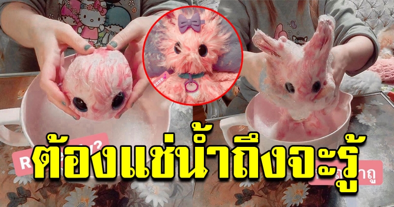 สุดล้ำ ตุ๊กตาแช่น้ำ ของเล่นของยุคใหม่ ใครๆก็อยากได้