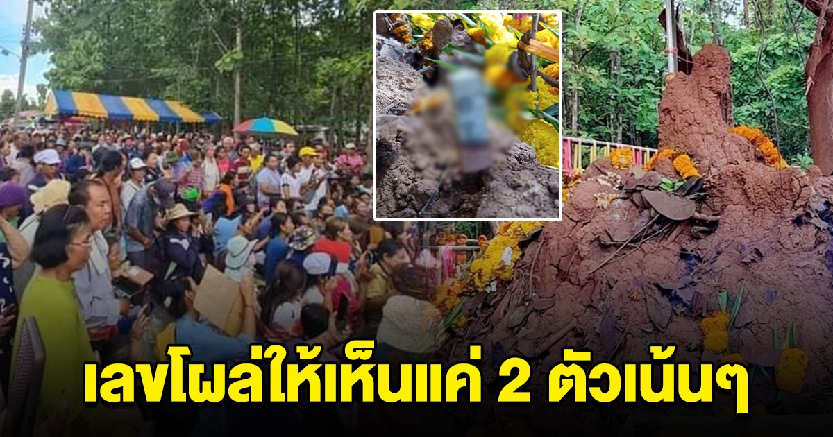 คลื่นมหาชน แห่ขอเลข จอมปลวกคล้ายหลวงปู่เสรี จุดธูป เลขโผล่แค่ 2 ตัวเน้นๆ