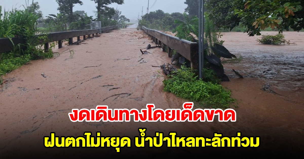 งดเดินทางโดยเด็ดขาด! ฝนตกไม่หยุด น้ำป่าไหลทะลักท่วมทางจราจร