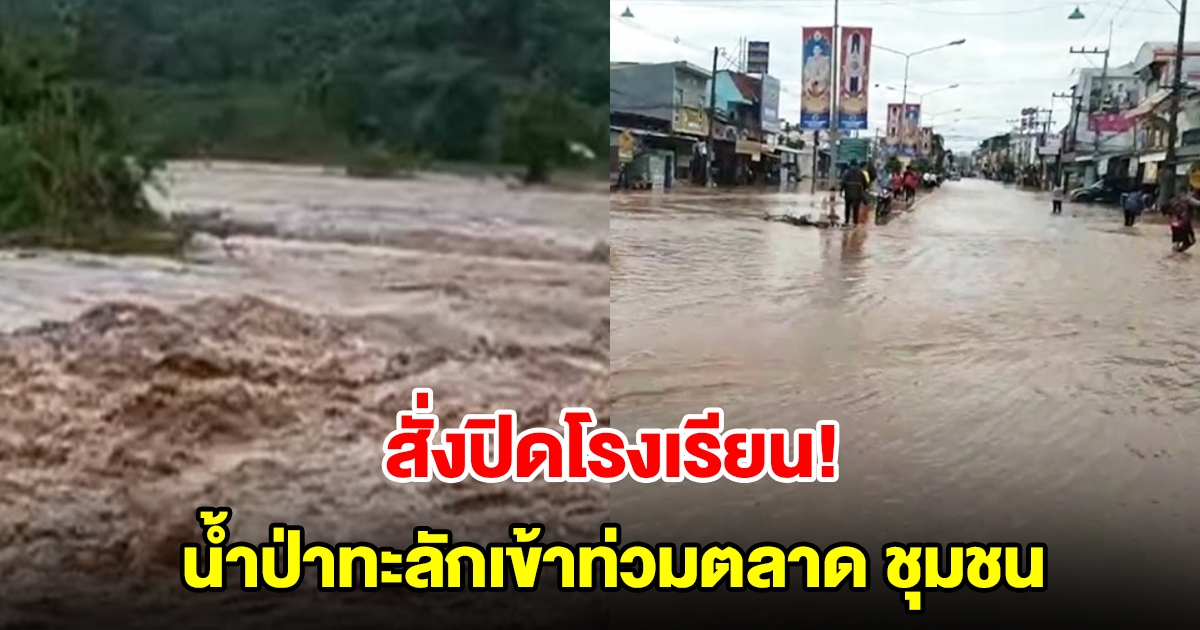 สั่งปิดโรงเรียน! ฝนถล่มหนักทั้งคืน น้ำป่าทะลักเข้าท่วมตลาด ชุมชน ขนของหนีน้ำไม่ทัน