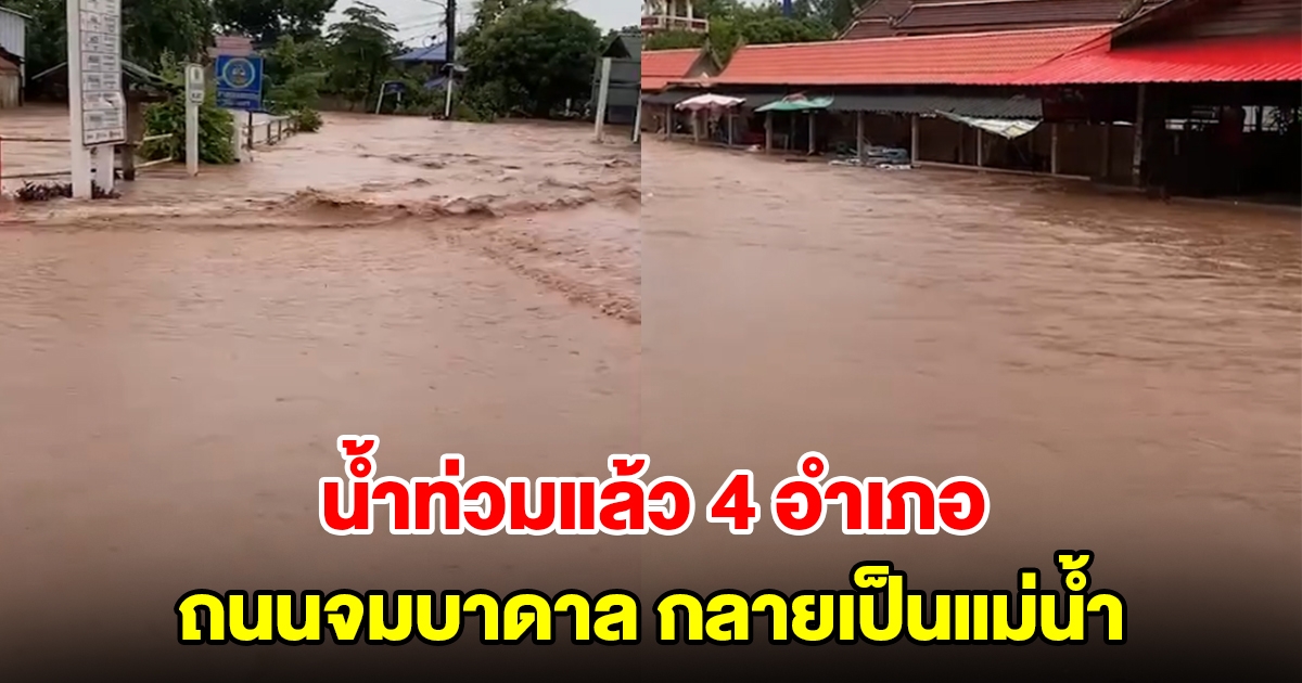 พะเยายังหนัก ฝนตกไม่หยุด น้ำป่าทะลักท่วมแล้ว 4 อำเภอ ถนนบางสายไม่สามารถสัญจรผ่านได้