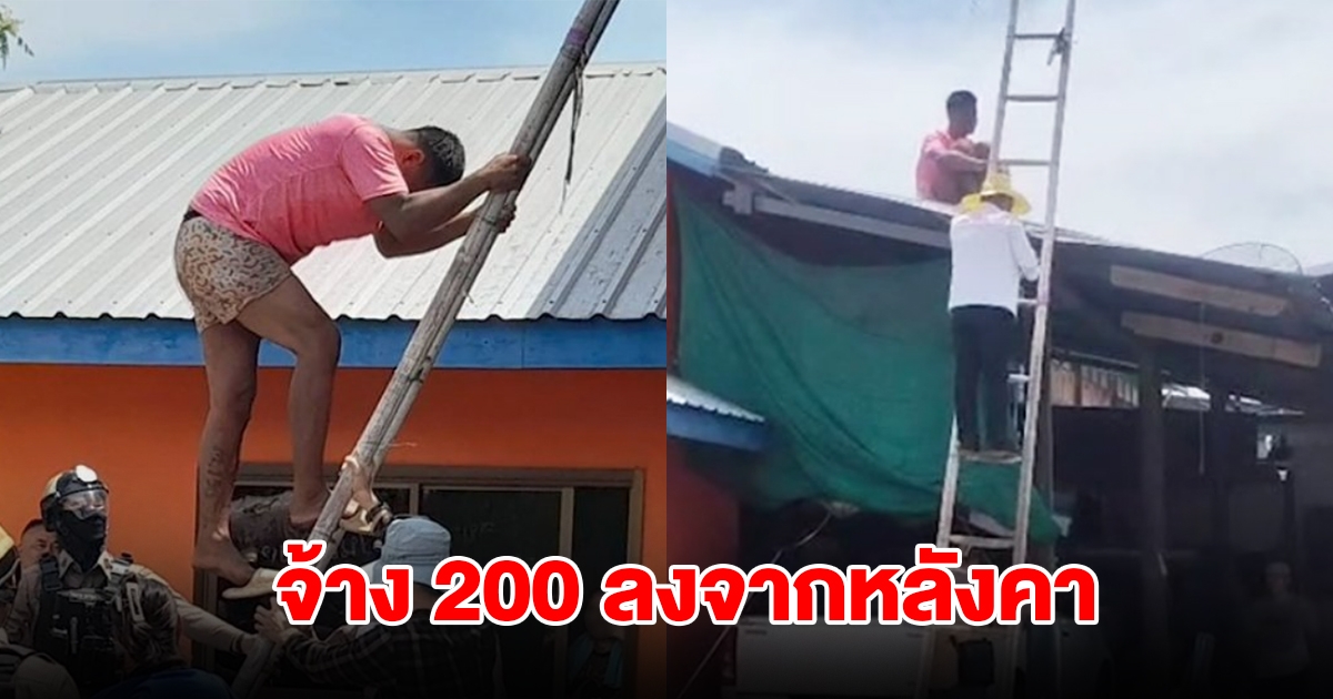 หนุ่มปีนอยู่บนหลังคาบ้านนาน 4 ชม. ชาวบ้านช่วยเรียกไม่ยอมลง พอจ้าง 200 รีบลงทันที