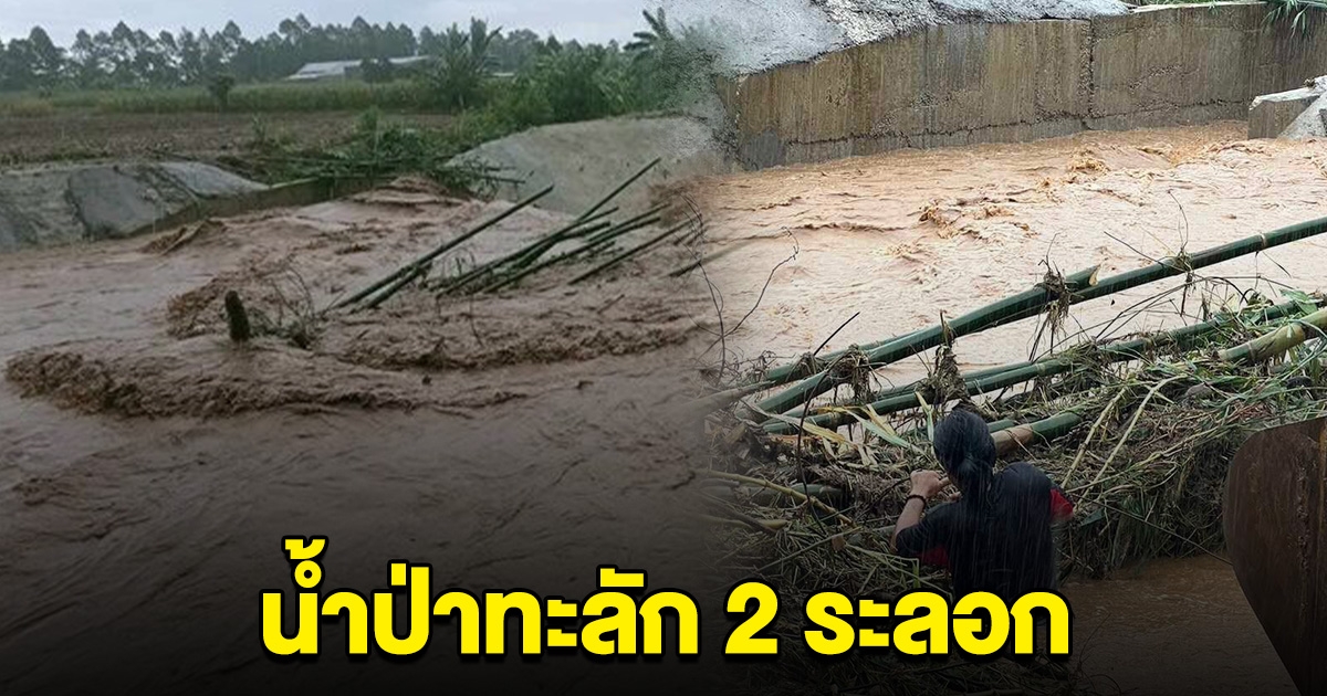 เกิดน้ำป่าดอยตุงทะลัก 2 ระลอก เตือนชาวบ้านเฝ้าระวัง หวั่นท่วมใหญ่