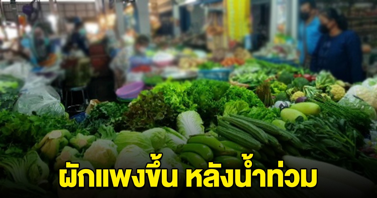 ค้าภายในเผย ผักแพงขึ้น จากผลกระทบน้ำท่วม