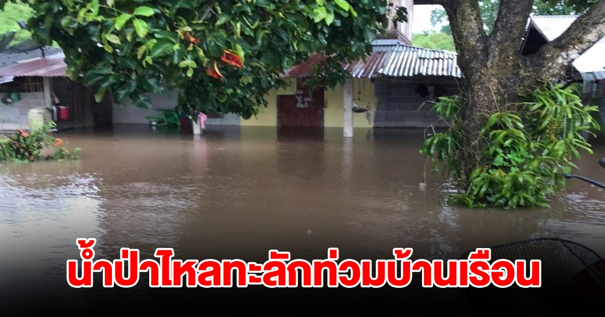 อ่วมอีกจังหวัด! ฝนตกหนัก น้ำป่าไหลทะลักท่วมบ้านเรือน 52 หลัง