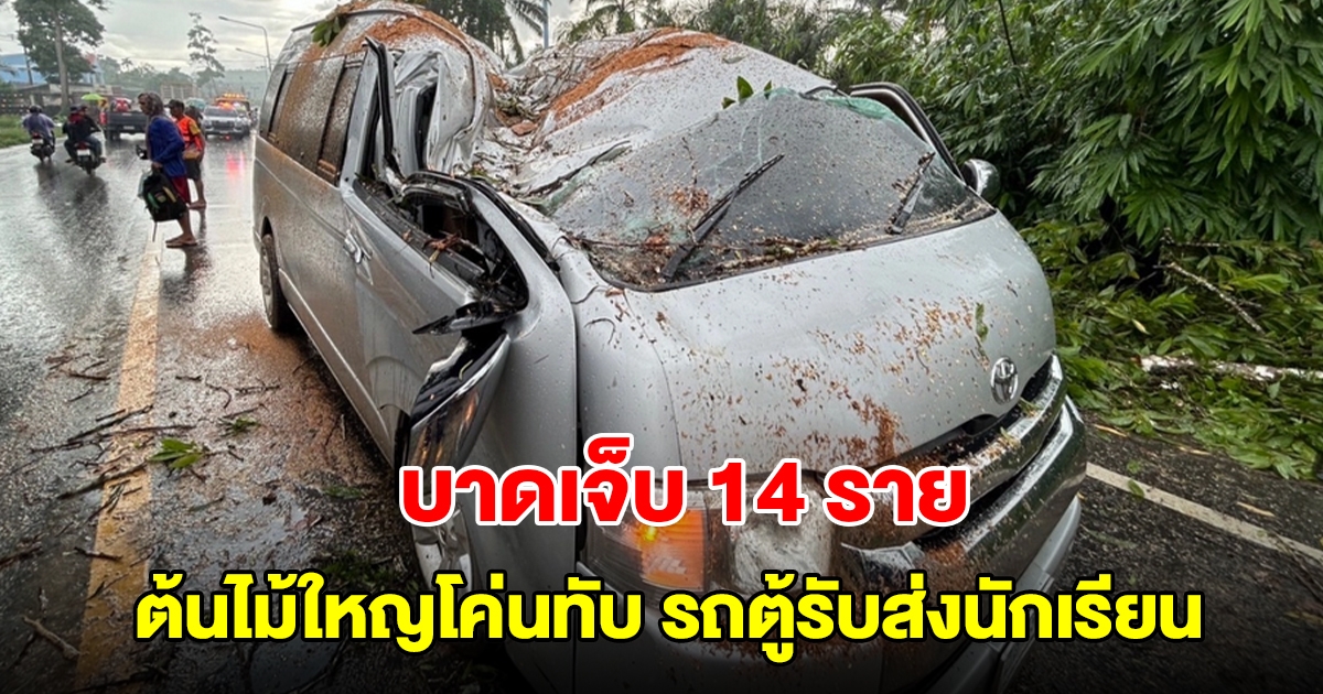 ต้นไม้ใหญ่ล้มโค่นทับ รถตู้รับส่งนักเรียน บาดเจ็บ 14 ราย