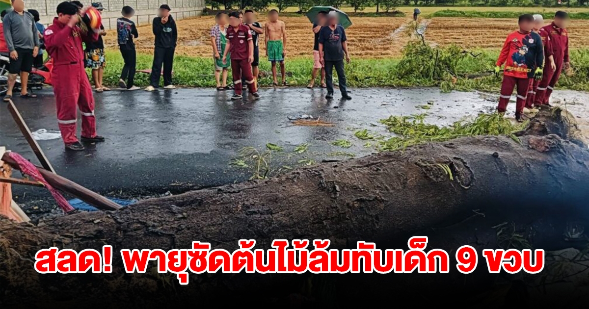 สุดสลด! พายุฝนซัดต้นมะขามใหญ่ โค่นล้มทับเด็ก 9 ขวบเสียชีวิต