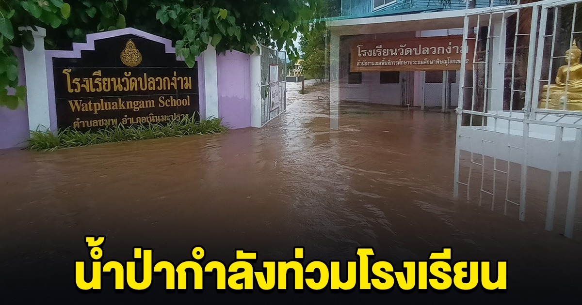 ด่วน! น้ำป่าทะลักท่วม โรงเรียนวัดปลวกง่าม เร่งอพยพครู-นักเรียน