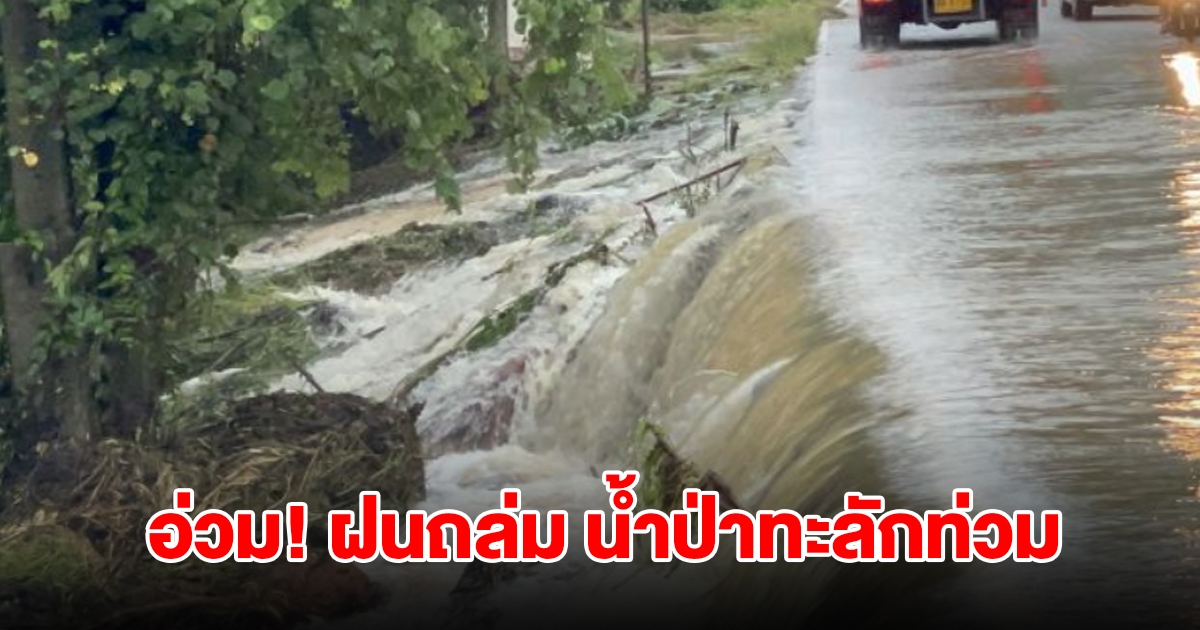 หนองคายอ่วม! ฝนถล่มหนัก น้ำป่าไหลทะลักท่วม