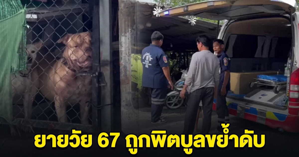 อีกแล้ว! ยายวัย 67 ถูกพิตบูลขย้ำดับ เจ้าของวอนช่วย รับผิดชอบไม่ไหวแล้ว