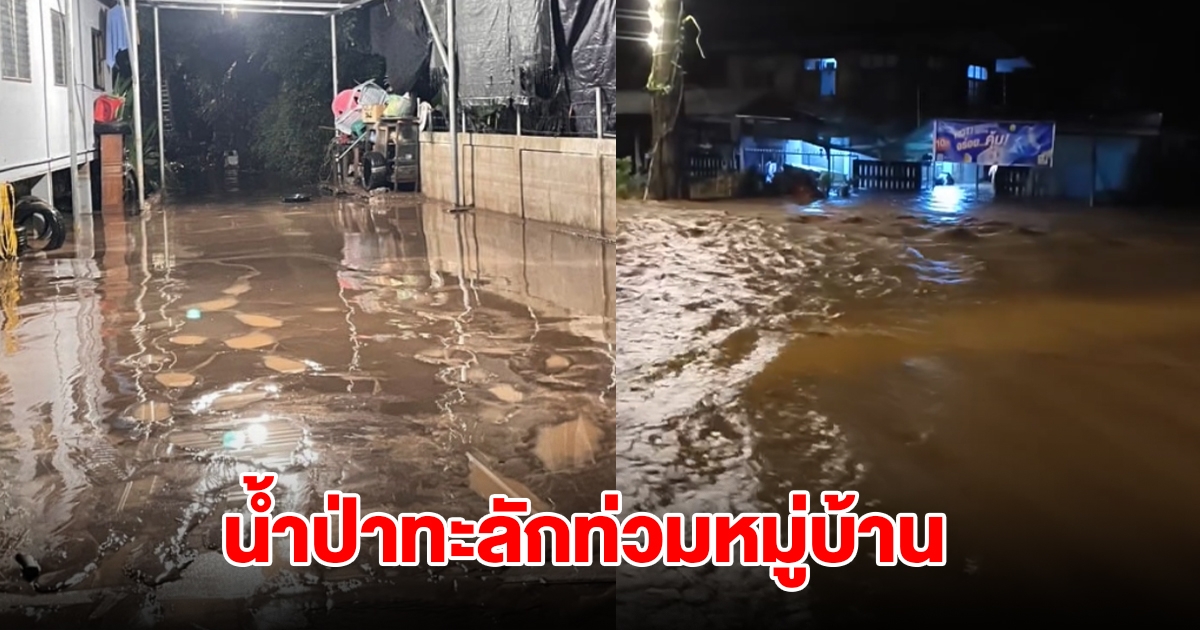 ดอยอินทนนท์ ฝนตกหนัก 3 ชั่วโมง น้ำป่าไหลเข้าท่วมหมู่บ้านเสียหายหลายหลัง