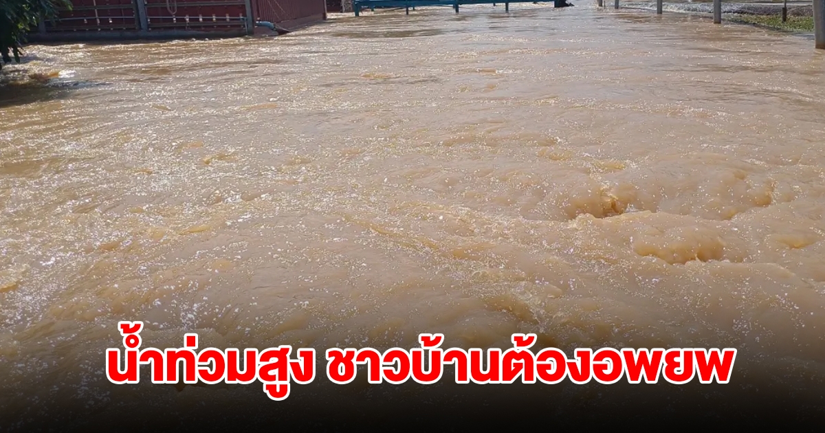 ลำพูนอ่วม! น้ำท่วมสูง บางจุดชาวบ้านเดือดร้อนหนัก ต้องอพยพออกจากบ้าน