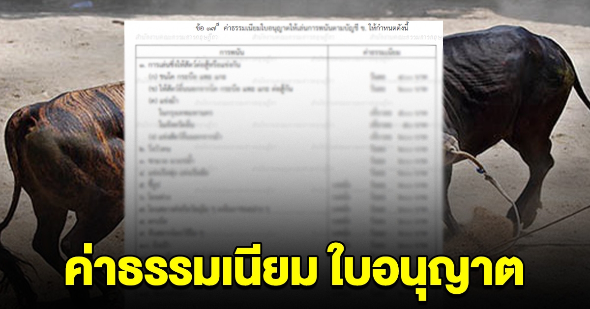 เปิดค่าธรรมเนียม ใบอนุญาตให้เล่นการพนัน ชนิดต่างๆ