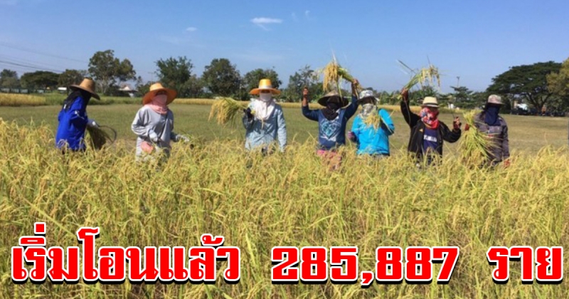 ธกส โอนจ่ายเงินช่วยเหลือค่าเก็บเกี่ยวแล้ว จำนวน 285887 ราย