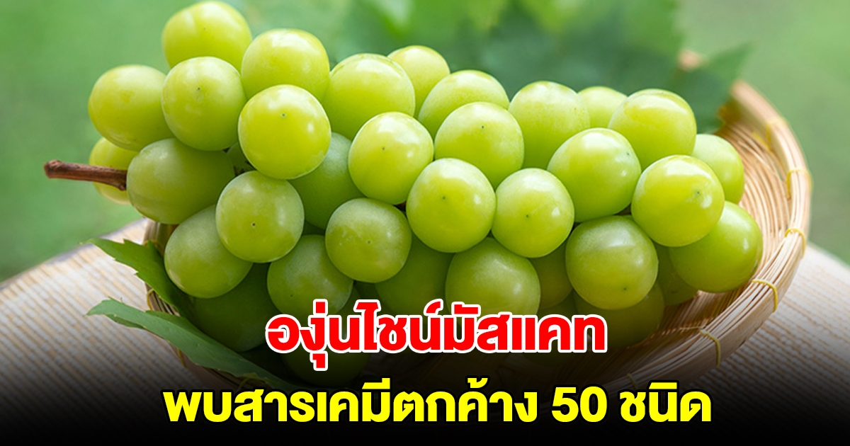 องุ่นไชน์มัสแคท พบสารเคมีตกค้าง 50 ชนิด