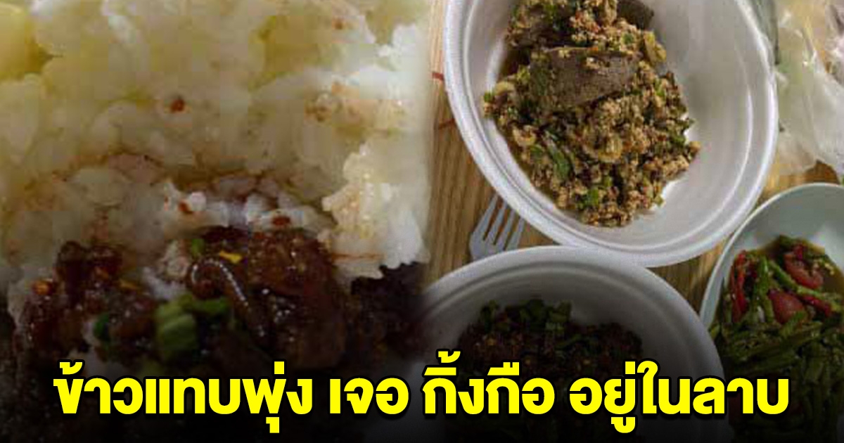 ข้าวแทบพุ่ง หนุ่มเจอ กิ้งกือ อยู่ในลาบ ซ้ำโดนร้านขู่เอาเรื่องทำเสื่อมเสีย