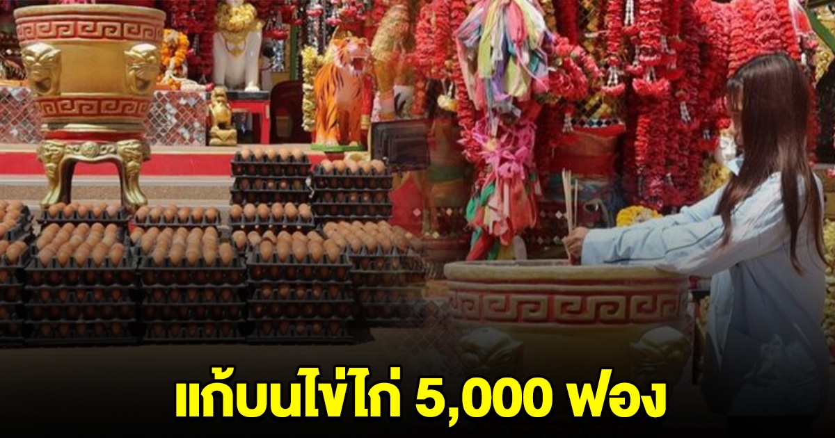 สาวสมหวัง หอบไข่ไก่ 5 พันฟอง แก้บนท้าวเวสสุวรรณ เผยเลขธูปล่าสุด