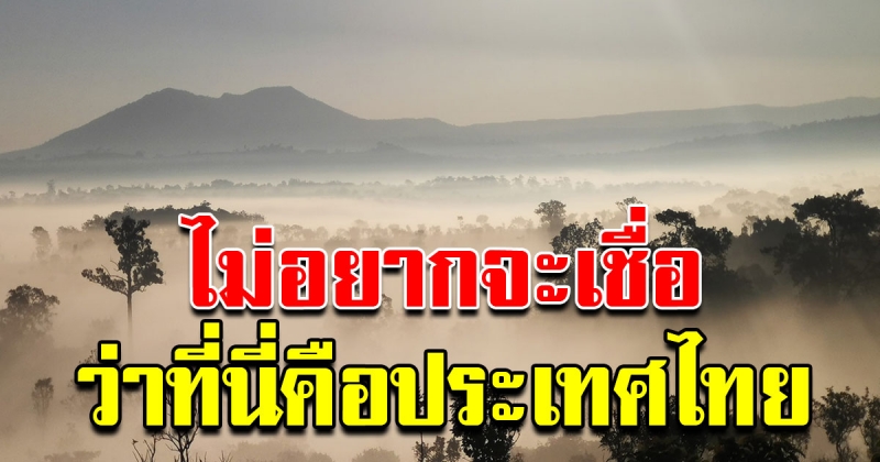 สูดอากาศสดชื่น ท่ามกลางทะเลหมอกยามเช้า ทุ่งแสลงหลวง ณ พิษณุโลก