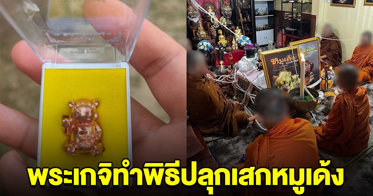 สะเทือนวงการ พระเกจิทำพิธีปลุกเสกหมูเด้ง-ฮิปโปกวักทรัพย์