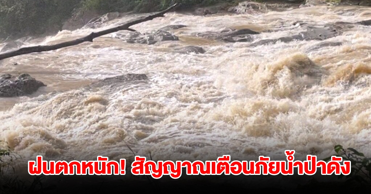 ฝนตกหนัก สัญญาณเตือนภัยน้ำป่าดังลั่น เตือนชาวบ้านรับมือน้ำท่วม