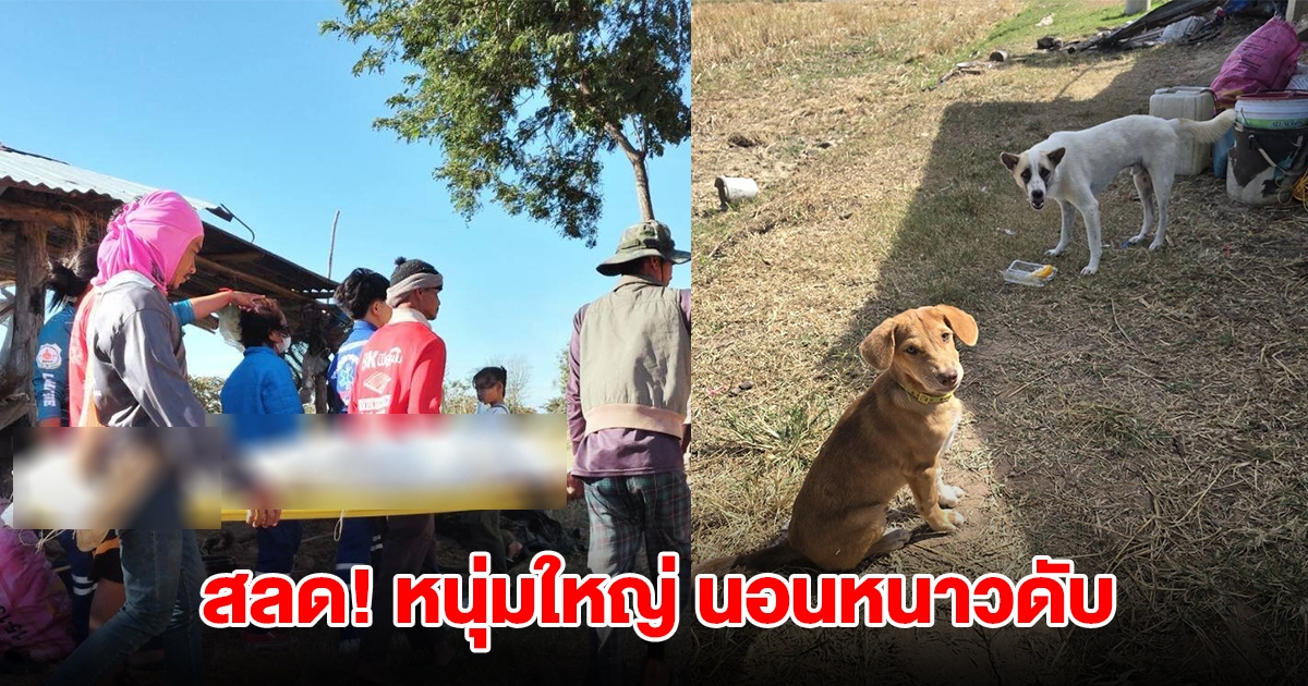 สลด! หนุ่มใหญ่วัย 48 ปี นอนหนาวเสียชีวิต