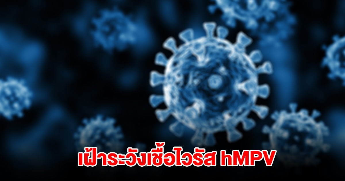 กรมวิทย์ฯ แจ้ง พบผู้ป่วยติดเชื้อไวรัส hMPV ตลอดทั้งปี เฝ้าระวัง อาการรุนแรง