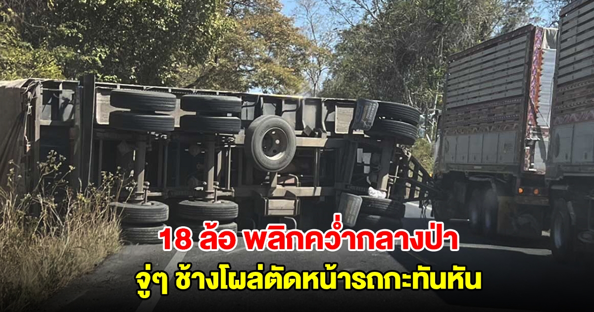 18 ล้อ พลิกคว่ำกลางป่า หลังจู่ๆ ช้างโผล่พุ่งเข้าใส่ ตัดหน้ารถกะทันหัน