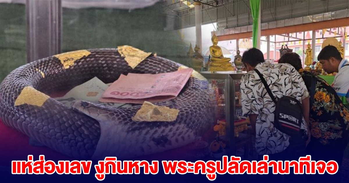 แห่ส่องเลข งูกินหาง พระครูปลัดเล่านาทีเจอ