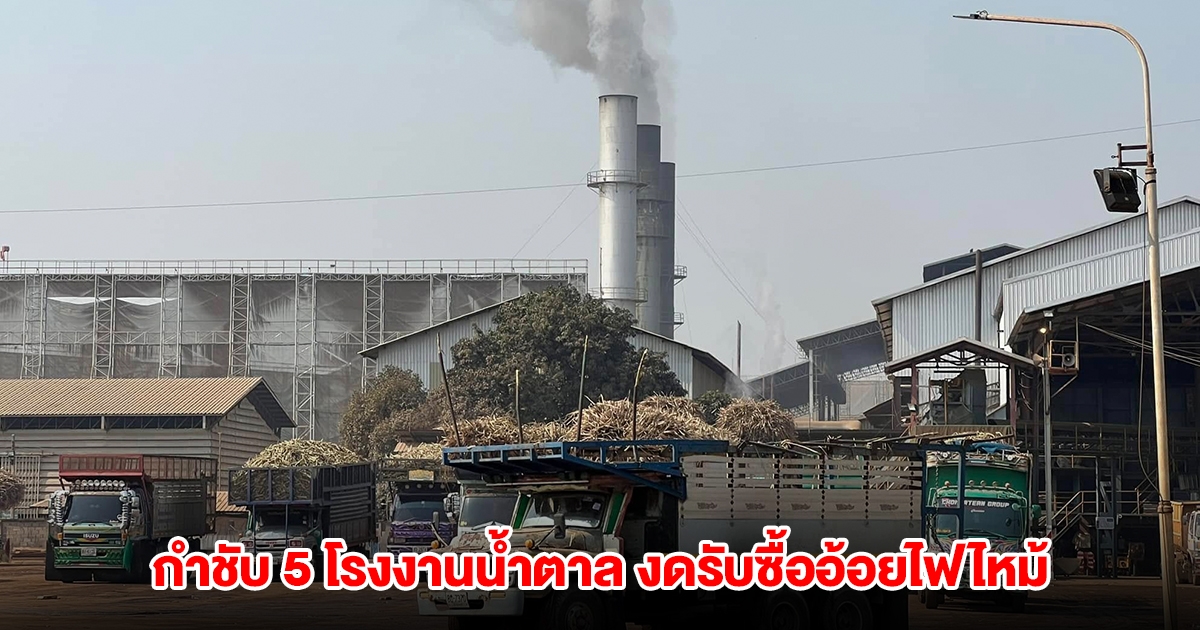 รองผู้ว่าฯกาญจน์ กำชับ 5 โรงงานน้ำตาล งดรับซื้ออ้อยไฟไหม้