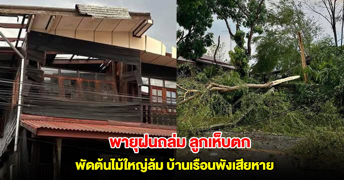 พายุฝนถล่ม ลูกเห็บตก พัดต้นไม้ใหญ่ล้ม บ้านเรือนพังเสียหายหลายหลัง