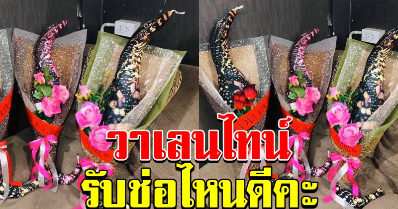 สาวเตรียมของขวัญ ให้แฟนในวันวาเลนไทม์