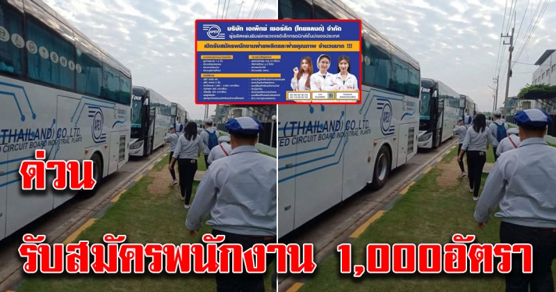 บริษัท เอเพ็คซ์ ​รับสมัครพนักงาน 1000 อัตรา​ วุฒิม 3 ขึ้นไป