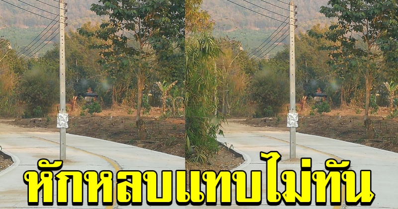 หนุ่มโพสต์ ขับรถกลับบ้านไปตามถนนปกติ