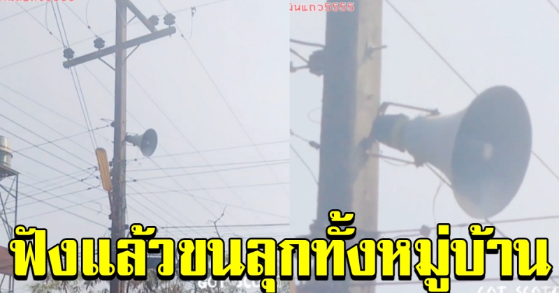 เสียงจากผู้ใหญ่บ้าน