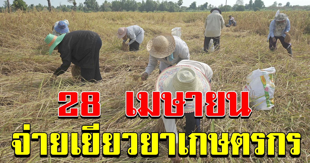 เตรียมชง ครม 28 เมษายน จ่ายเงินช่วยเกษตรกร