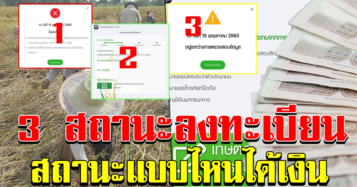 3 สถานะ ลงทะเบียนเกษตรกร