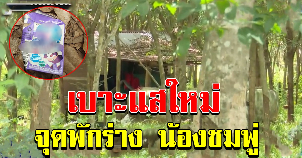 เปิดเบาะแสใหม่ จุดพักร่าง น้องชมพู่