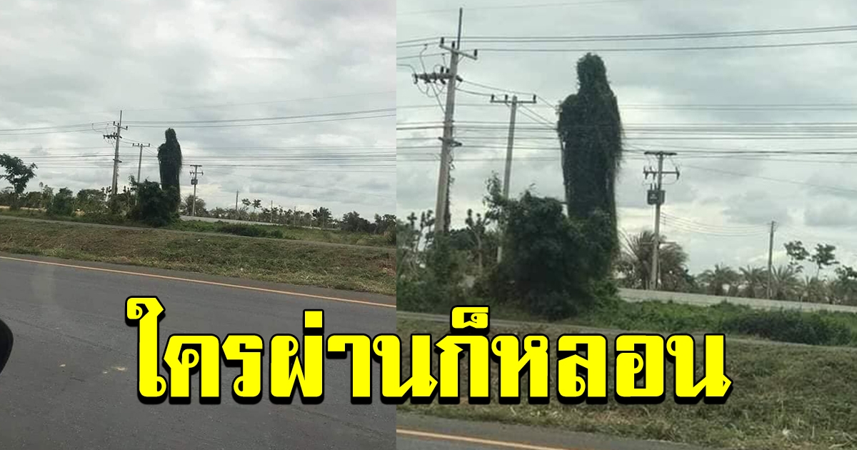 หนุ่มโพสต์ ไม่มีประเทศใดในโลก ที่จะอุดมสมบูรณ์เทียบเท่าประเทศไทย