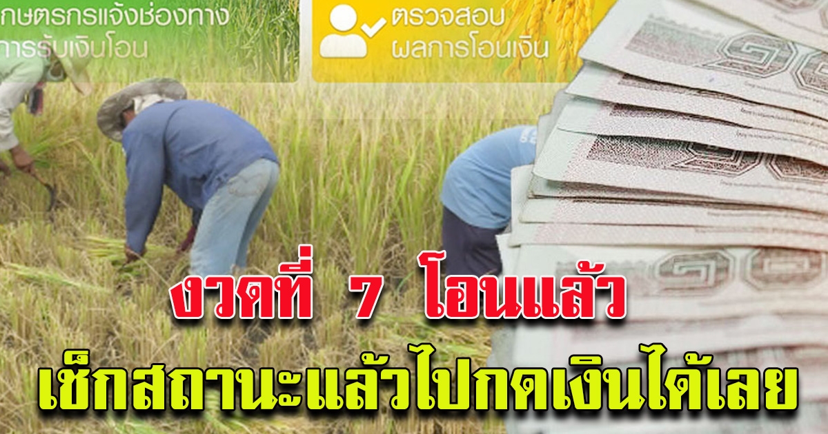 โอนแล้ว เช็คสถานะ​การโอนประกันรายได้เกษตรกร​ผู้ปลูก​ข้าว​ได้เลย