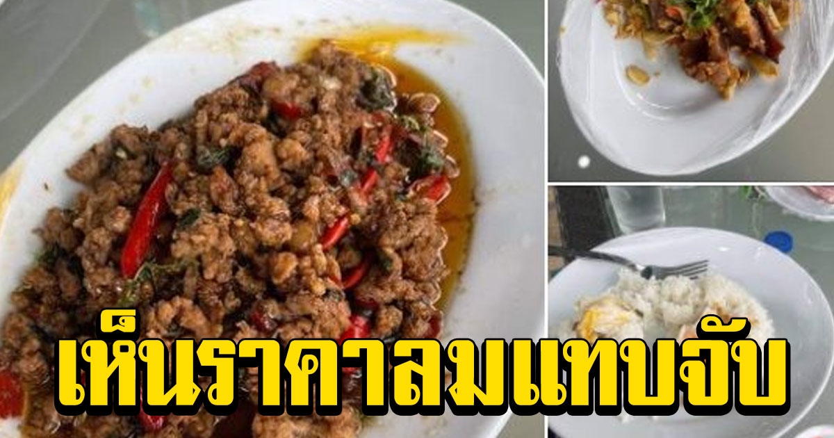 สาวเที่ยวเกาะช้าง สั่งกะเพราหมูและหมูทอด